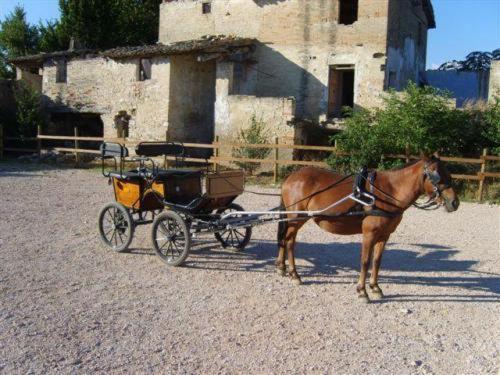 Assisi Garden Hotel Luaran gambar