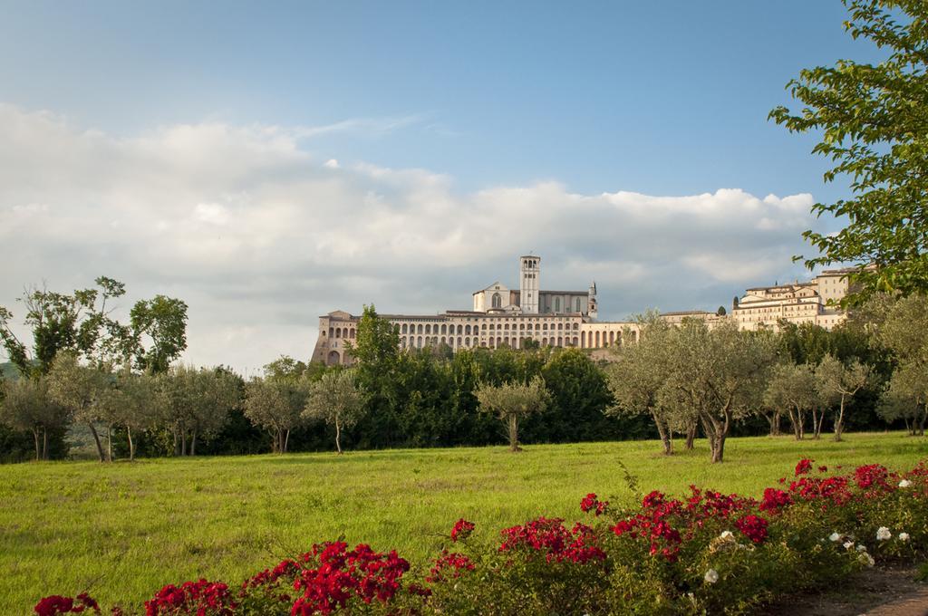 Assisi Garden Hotel Luaran gambar